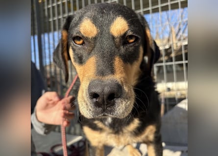 Tepp - junger, fröhlicher Bub