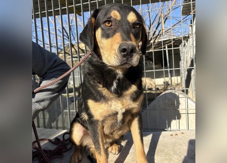 Tepp - junger, fröhlicher Bub