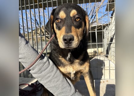 Tepp - junger, fröhlicher Bub