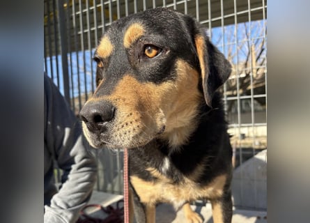 Tepp - junger, fröhlicher Bub