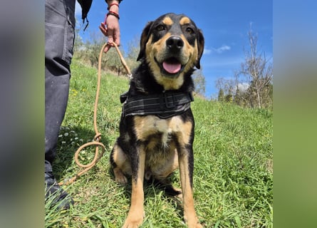 Tepp - junger, fröhlicher Bub