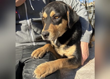 Tepp - junger, fröhlicher Bub