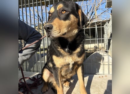 Tepp - junger, fröhlicher Bub