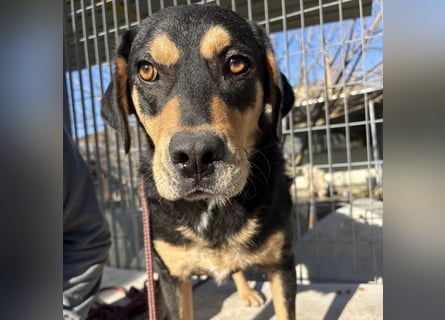 Tepp - junger, fröhlicher Bub