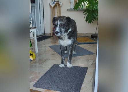 Luke: seine Gelassenheit ist unbeschreiblich