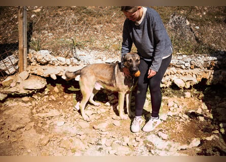CharmingBoy ♥ Luis ♥ liebenswertes Fellherz