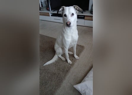 Bailey: wer fängt sie auf?