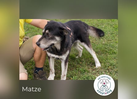 Matze: Verspielter Wirbelwind