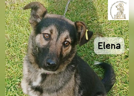 Elena – so sanft, als hätte sie das Leben schon verstanden!
