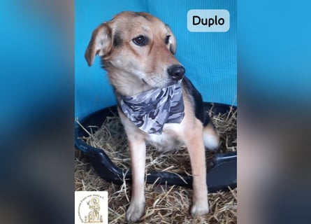 Duplo – leise starten, gemeinsam wachsen!