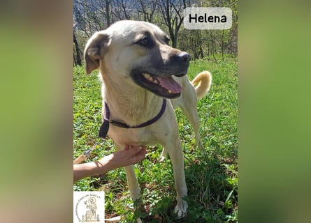 Helena – Schönheit mit Charakter und einem ganz besonderen Lächeln!