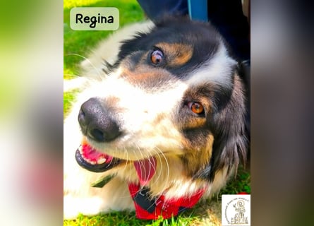 Regina – sie wollte nie allein sein!