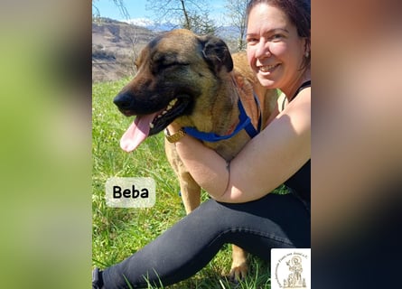 Beba – für Menschen, die das Echte suchen!