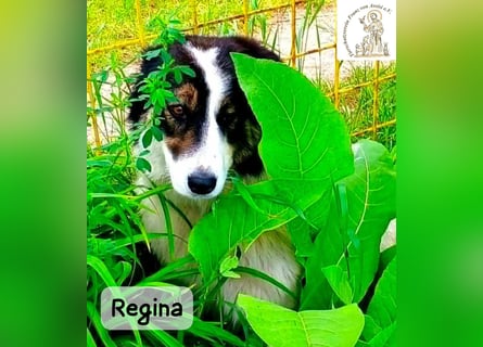 Regina – sie wollte nie allein sein!