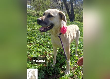 Helena – Schönheit mit Charakter und einem ganz besonderen Lächeln!