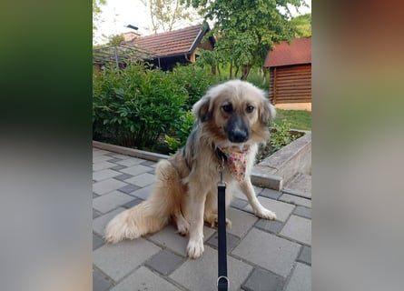 Malta – eine Lady auf dem Weg ins neue Leben!