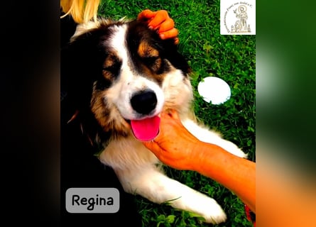 Regina – sie wollte nie allein sein!
