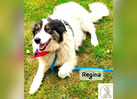 Regina – sie wollte nie allein sein!