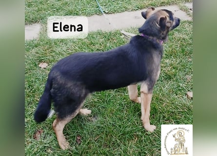 Elena – so sanft, als hätte sie das Leben schon verstanden!
