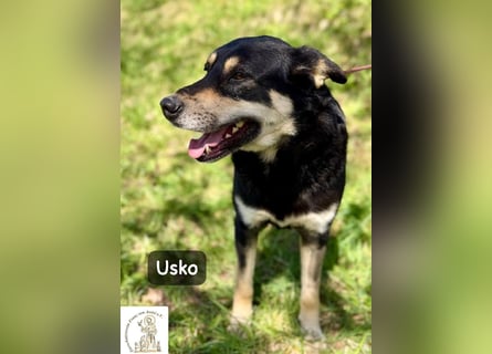 Usko – der, der lernen möchte, wie Leben wirklich geht!