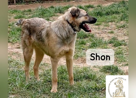 Shon – einmal lächeln, einmal verlieben, dann gemeinsam los ins Abenteuer!