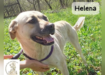 Helena – Schönheit mit Charakter und einem ganz besonderen Lächeln!