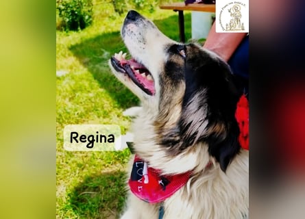 Regina – sie wollte nie allein sein!