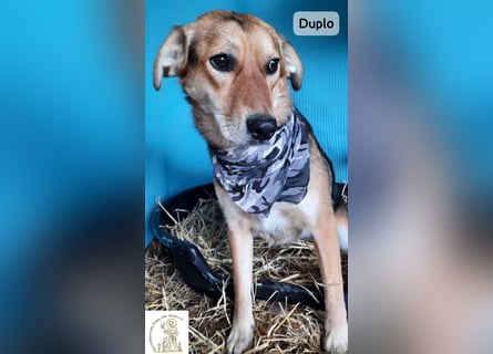 Duplo – leise starten, gemeinsam wachsen!