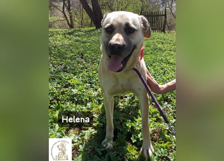 Helena – Schönheit mit Charakter und einem ganz besonderen Lächeln!