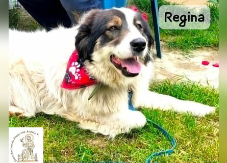 Regina – sie wollte nie allein sein!