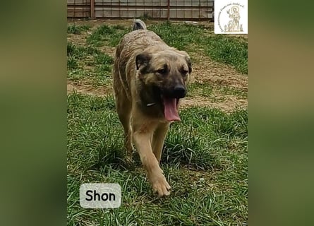 Shon – einmal lächeln, einmal verlieben, dann gemeinsam los ins Abenteuer!