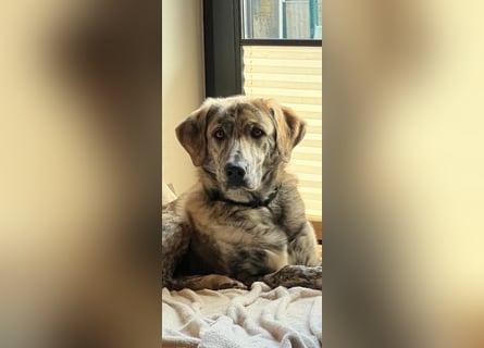 Draghino: es sollte nicht sein