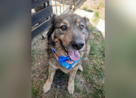 Reks - wartet seit 4 Jahren