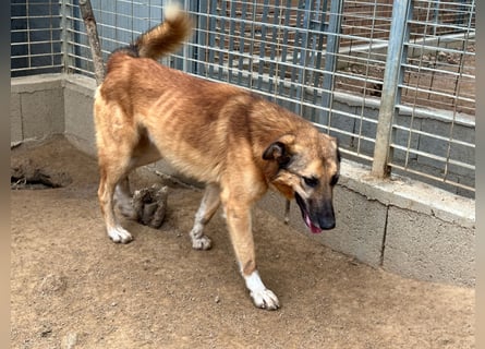 DANNY - sensibel & menschenbezogen