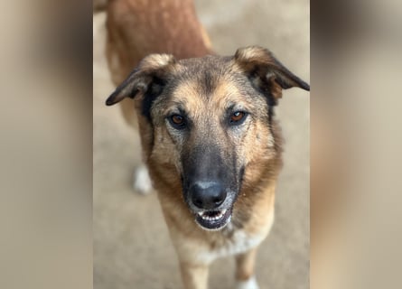 DANNY - sensibel & menschenbezogen