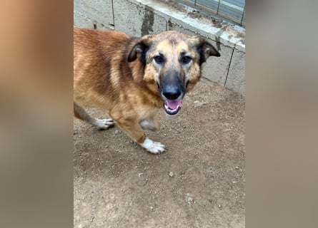 DANNY - sensibel & menschenbezogen