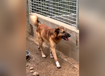 DANNY - sensibel & menschenbezogen