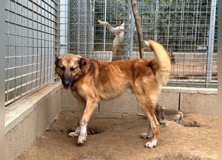 DANNY - sensibel & menschenbezogen