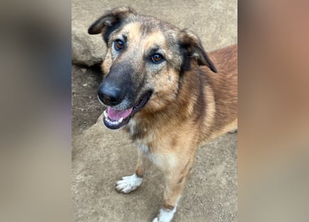 DANNY - sensibel & menschenbezogen