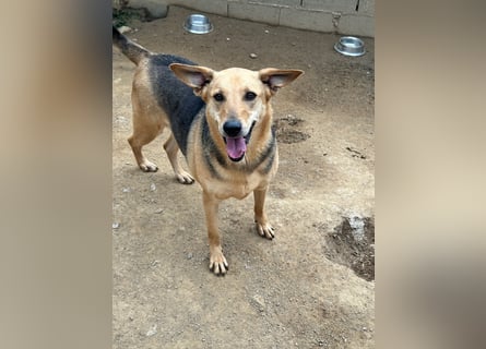 ROSALIE - unser toller Wonneproppen