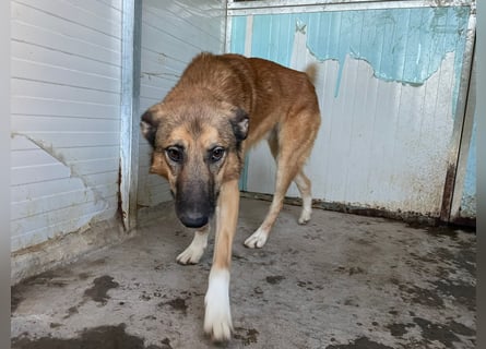 DANNY - sensibel & menschenbezogen