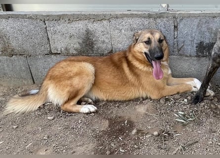 DANNY - sensibel & menschenbezogen