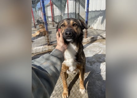 Joly sucht seine Person zum Ankommen
