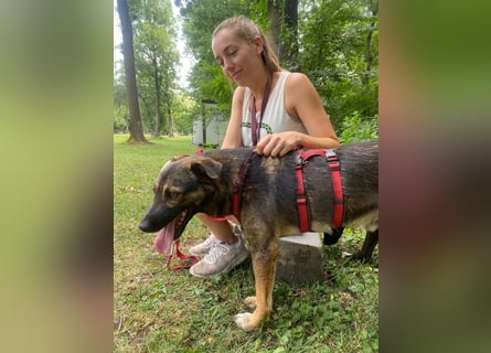 Joly sucht seine Person zum Ankommen
