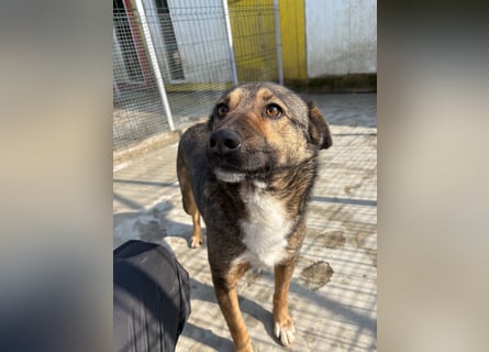 Joly sucht seine Person zum Ankommen