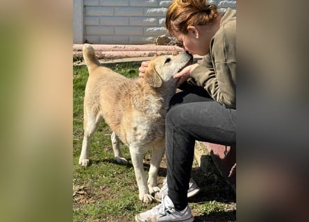 Max - seeehr verschmust u. lieb!