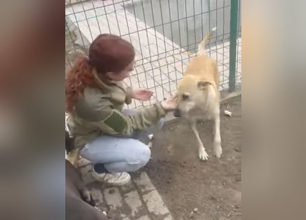 Leni - sehr lieb + sanft