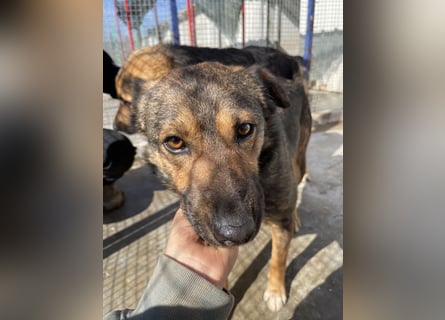 Joly sucht seine Person zum Ankommen