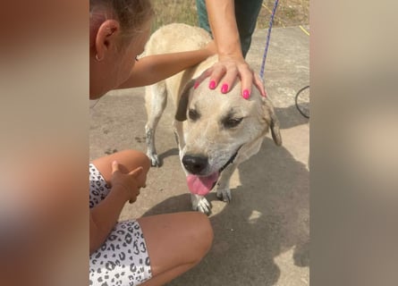 Max - seeehr verschmust u. lieb!