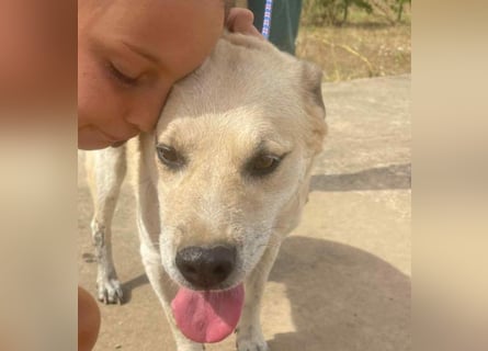 Max - seeehr verschmust u. lieb!